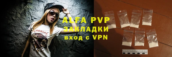 прущие грибы Семилуки