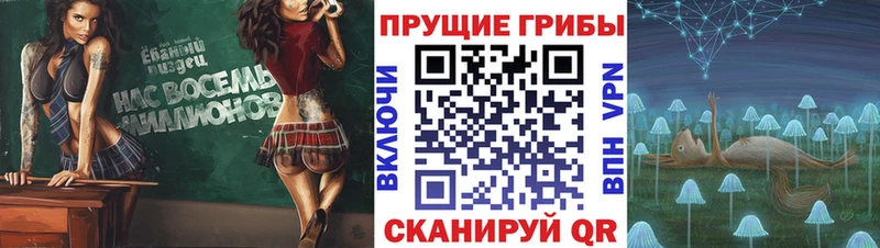 Псилоцибиновые грибы Psilocybine cubensis Купить Тихвин